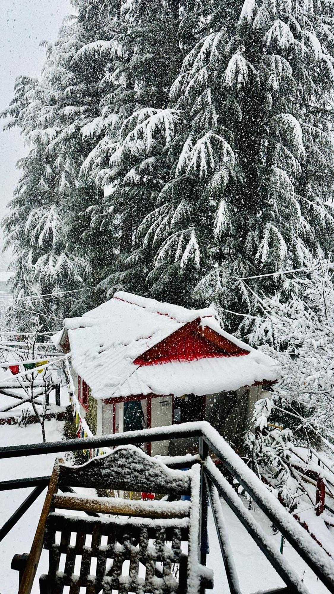 Red House Cafe And Inn Manāli Dış mekan fotoğraf
